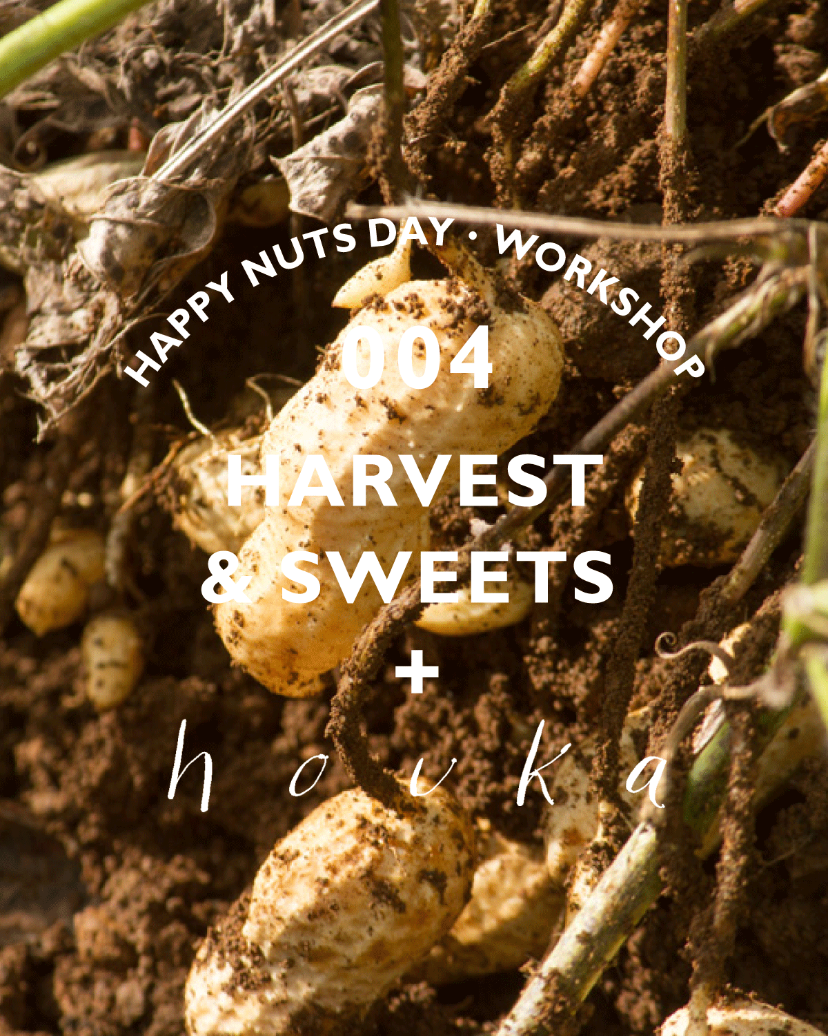 非公開: 収穫からはじまるお菓子づくり体験（講師：西尾萌美）