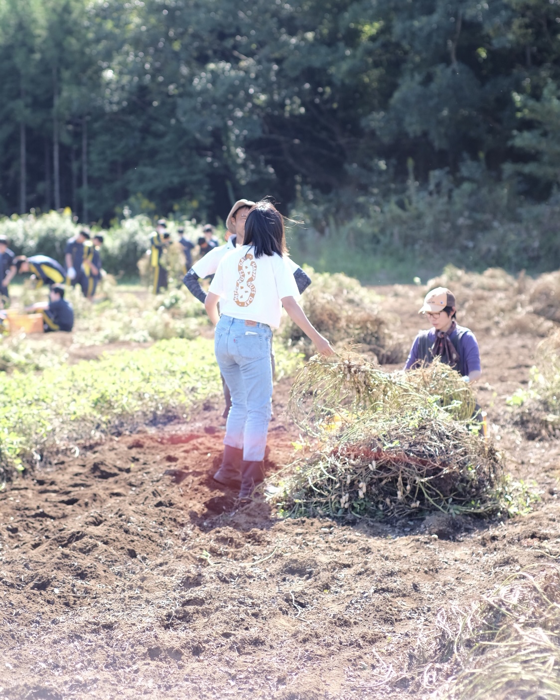 新豆ピーナッツバター2025